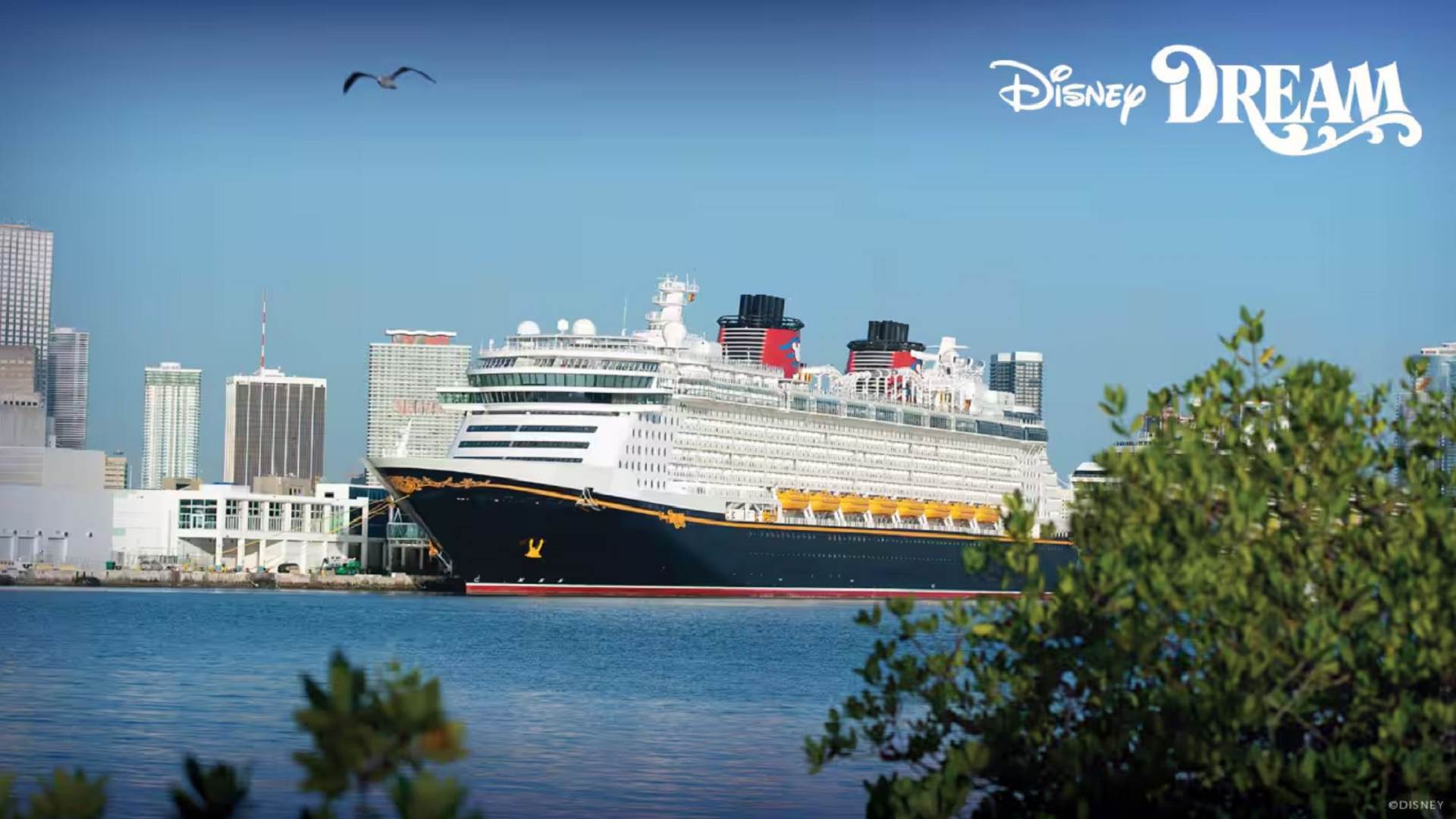 Disney Dream cruise ship setting sail from Miami port